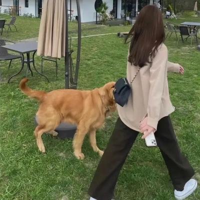 后妈的春天